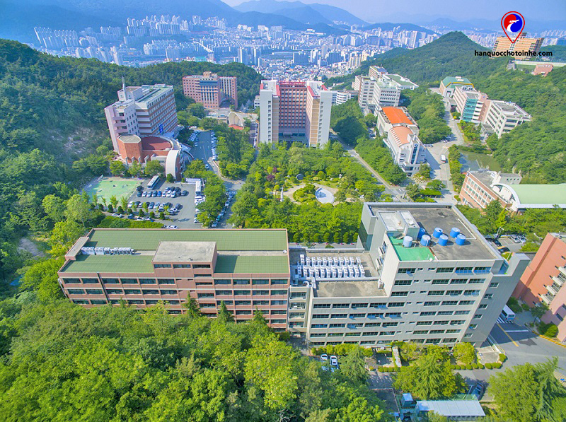 Trường Đại học Dong-Eui